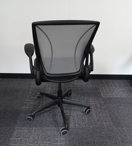 Humanscale Diffrient World Chair in Black amp Grey