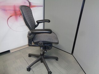 Herman Miller Aeron Tuxedo Chair Size B