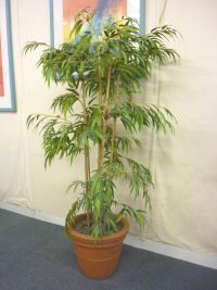 additional images for Various artificial plants