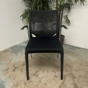 A black mesh office chair with armrests is positioned on a patterned rug in front of a white wall. A potted green plant stands behind the chair.