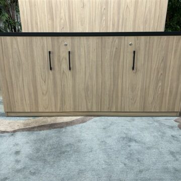 A light wood cabinet with four doors and black handles stands on a blue and beige patterned carpet, with green plants visible in the background.